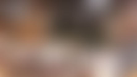 Livraria Jaqueira: a nova livraria da Cidade do Recife