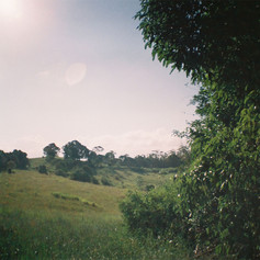 Weathered Upile Mkoka