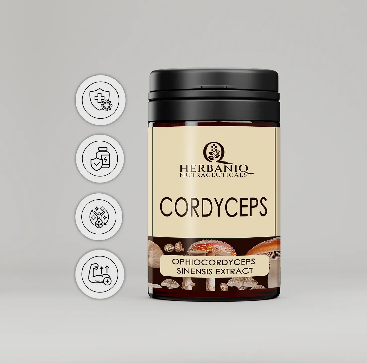 cordyceps extract buy herbaniq
