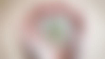 Bloem in handen als teken van zorg, hoop en ruimte voor verdriet