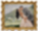 A.Curtis Creations, Live Wedding Painter, Live Event Painter, Austin TX