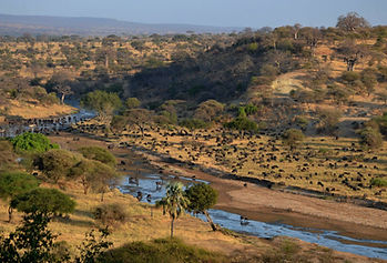 TARANGIRE NATIONAL PARK.jpg