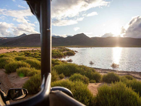Game Drive Cape Town