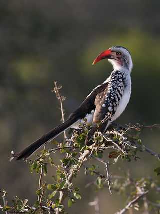 074A7815 crop_edited.jpg