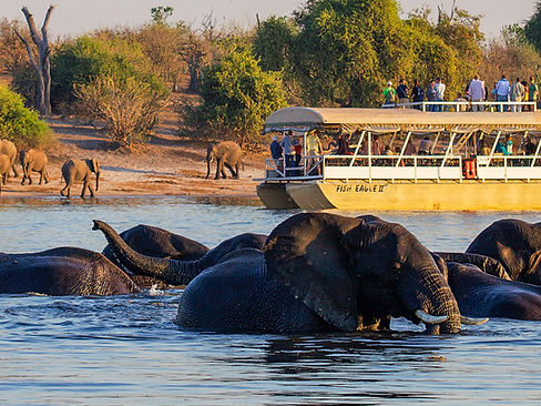 chobe-safari-lodge---boat-cruise-101_edited.jpg