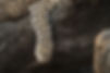 342812278_3043679535938522_632759357377160549_n.jpg