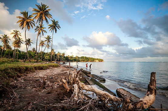Grenville shoreline erosion people trees by marjo aho GND_needs TNC Comms permission befor