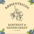 Skjermbilde 2025-05-09 kl. 12.37.32.png