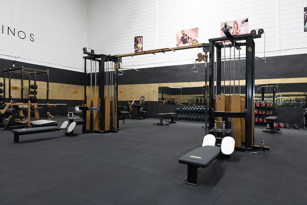 Gimnasio Pumping Hierro Gym