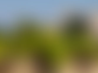 Lirac, le cru de la Vallée du Rhône qui bouge ! 