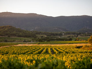 Luberon : le secret le mieux gardé de la Provence 