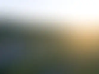 Vignobles en Scène : quand le Ventoux nous embarque dans un week-end hors norme !