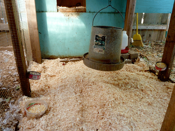 a clean chicken coop