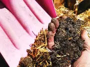 The Deep Litter Method: Benefits and Best Practices
