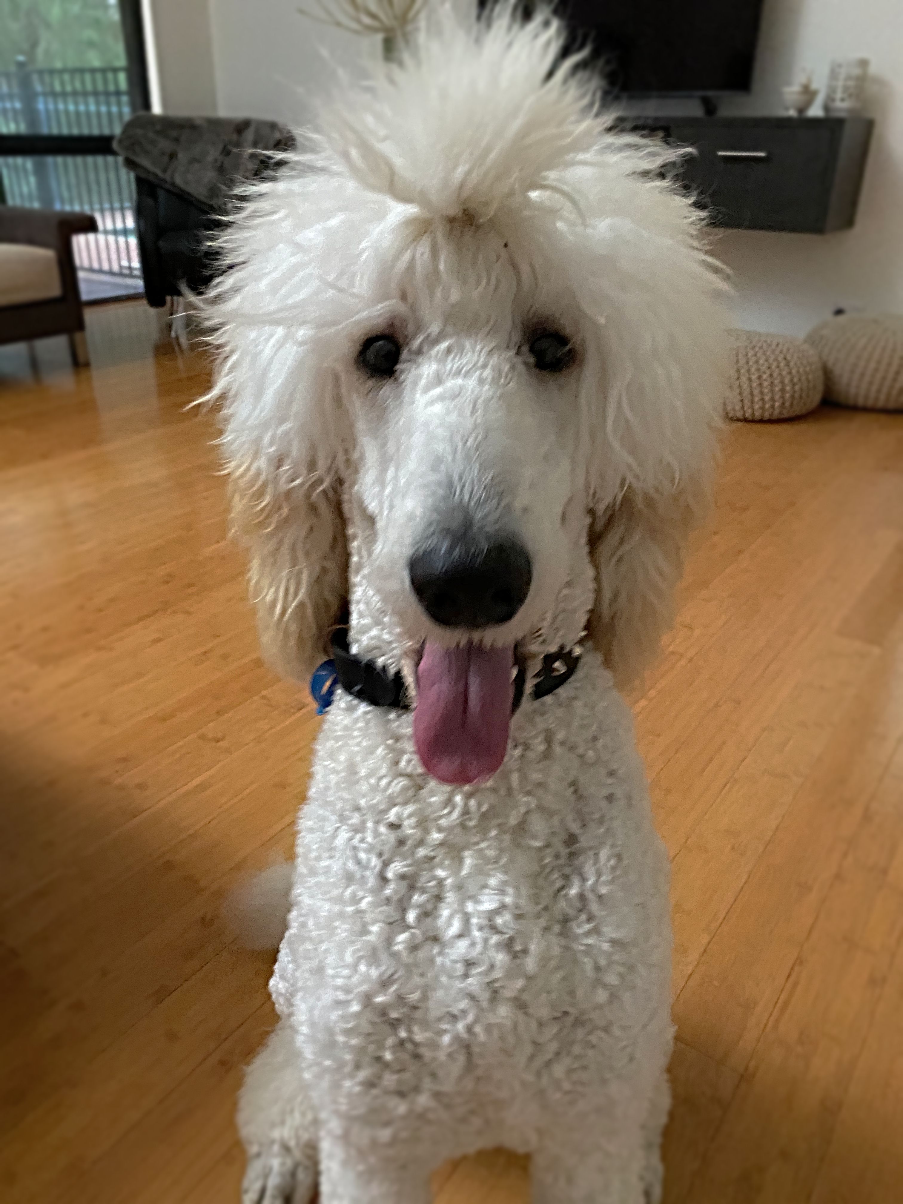 George
