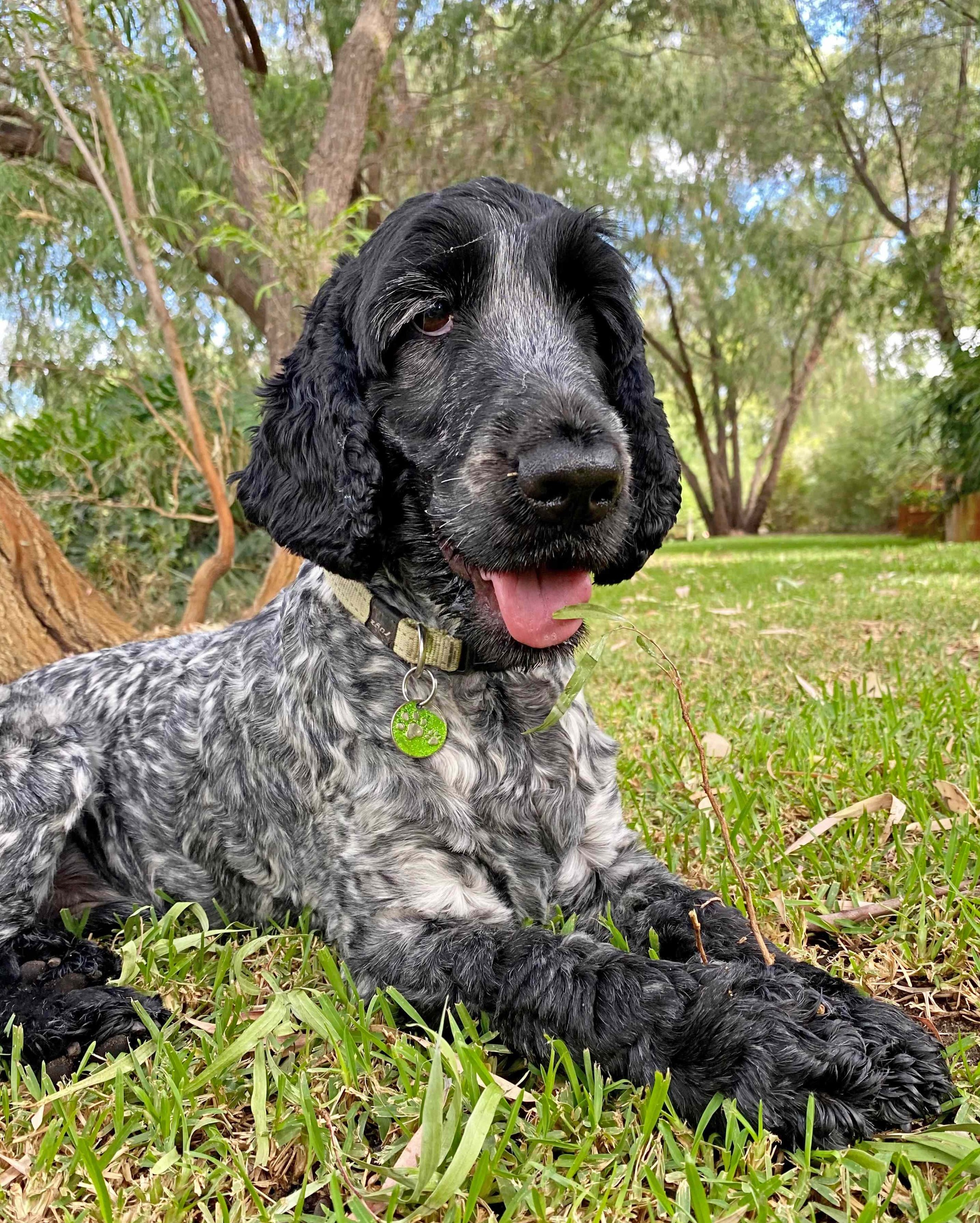 George