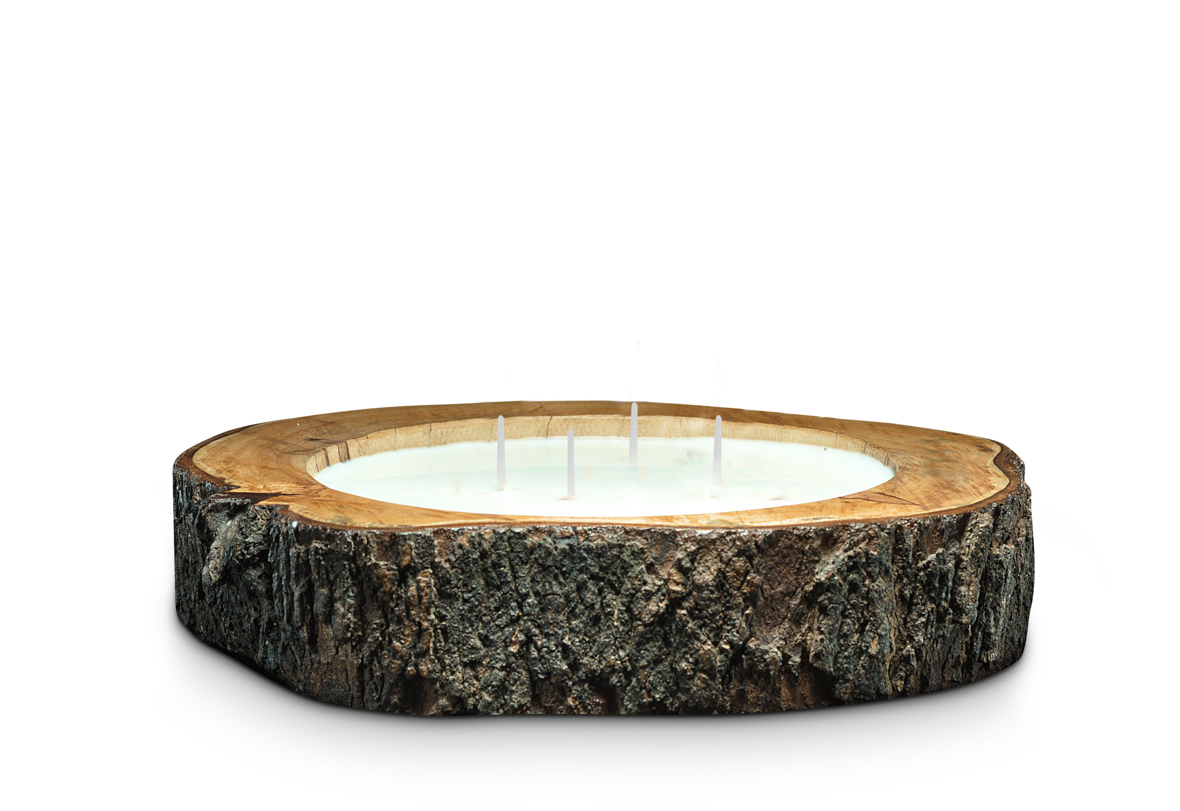 Tree Trunk 4 Wicks Candle