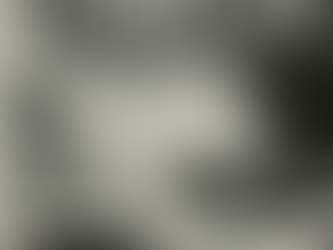 “Querida Angela”: uma carta de Marcuse para Angela Davis