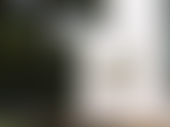 Eleições decidem o clima?