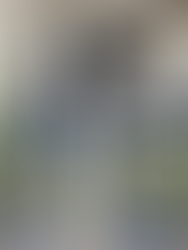 A tecnocracia do caos: gerencialismo e destruição da escola pública em São Paulo