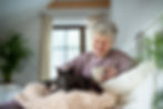 Old woman petting cat on couch.