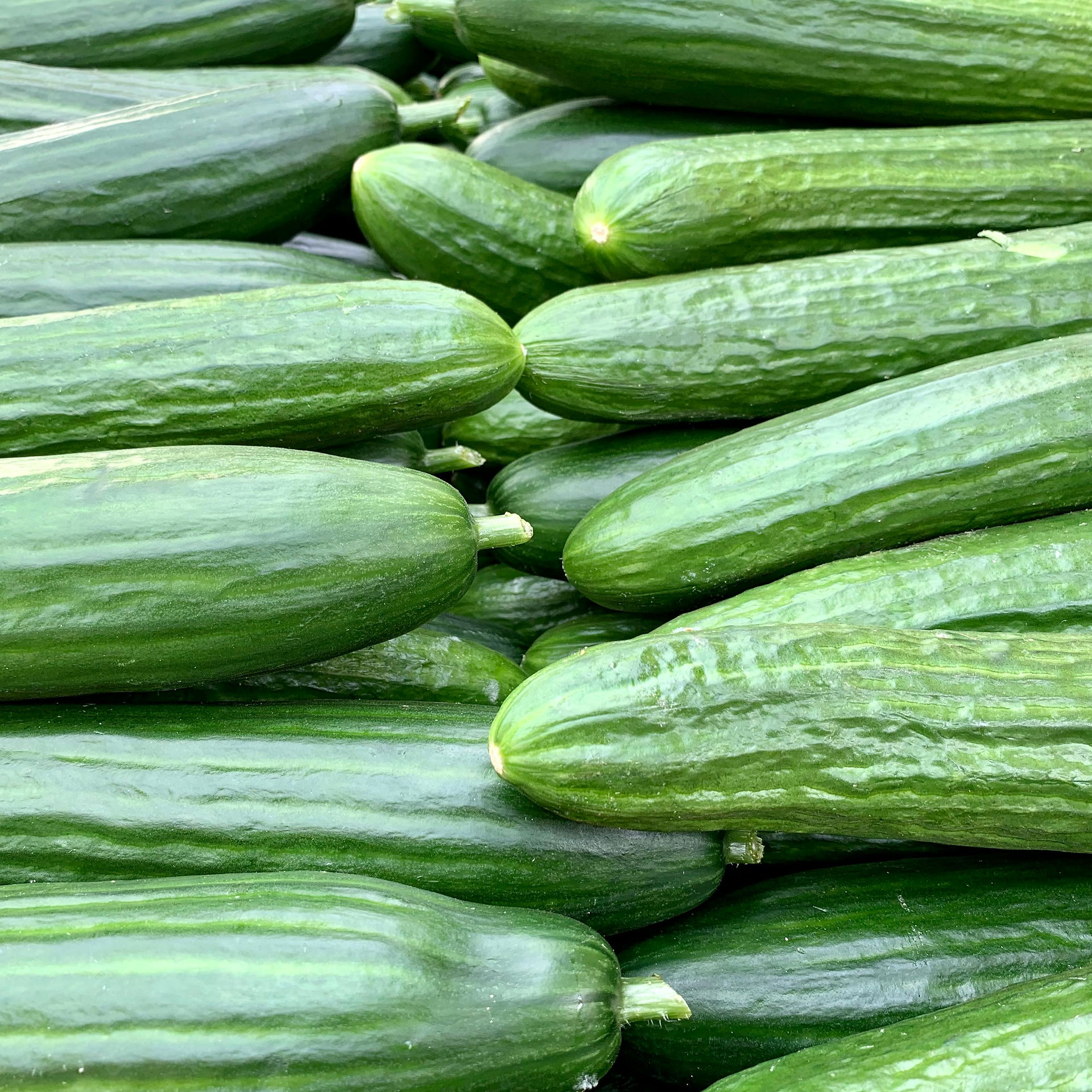A stack of cucumbers.