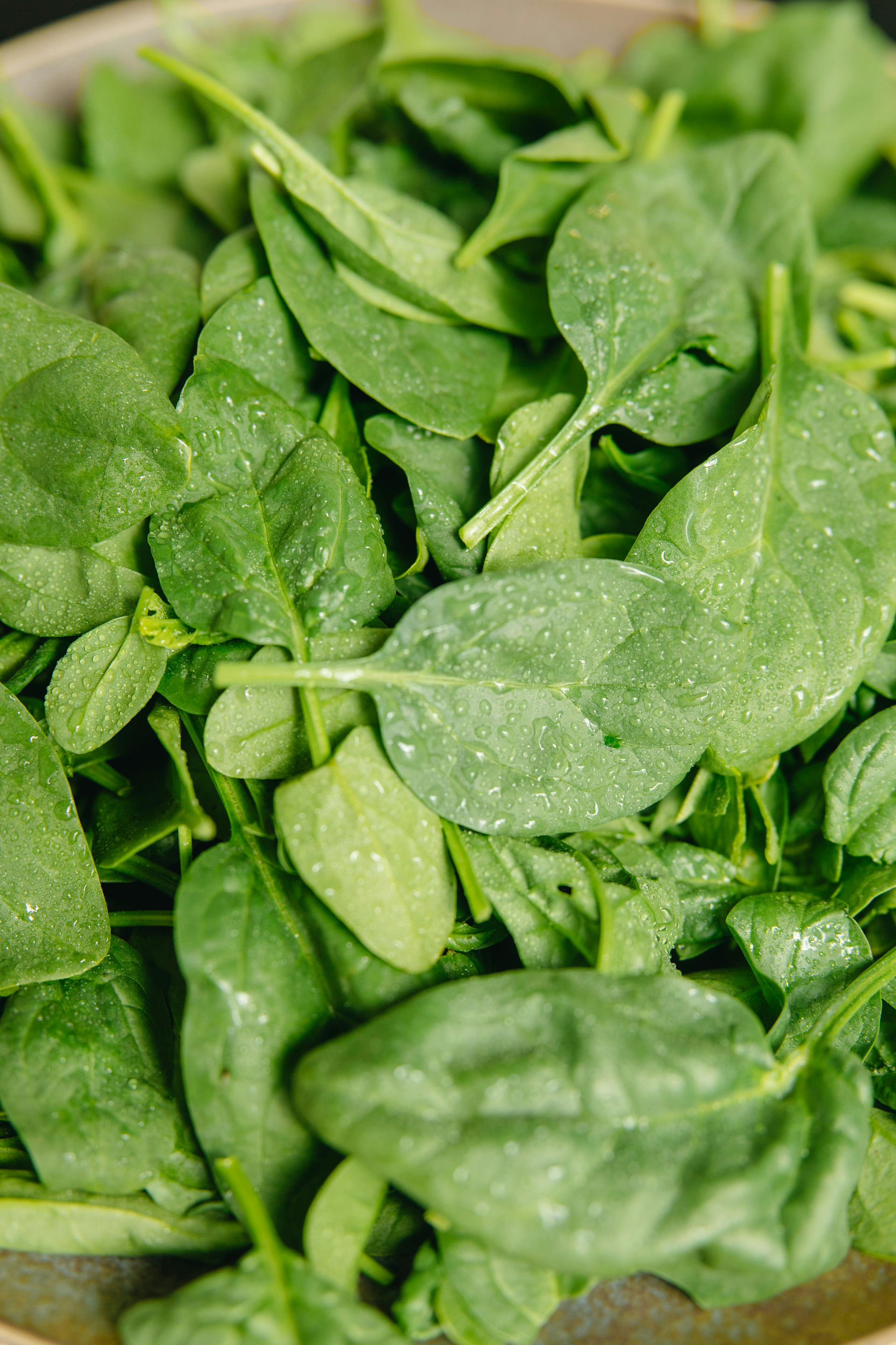 A plate of washed green spinach.