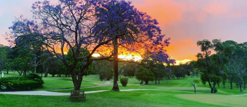 IMG_7510_edited_edited