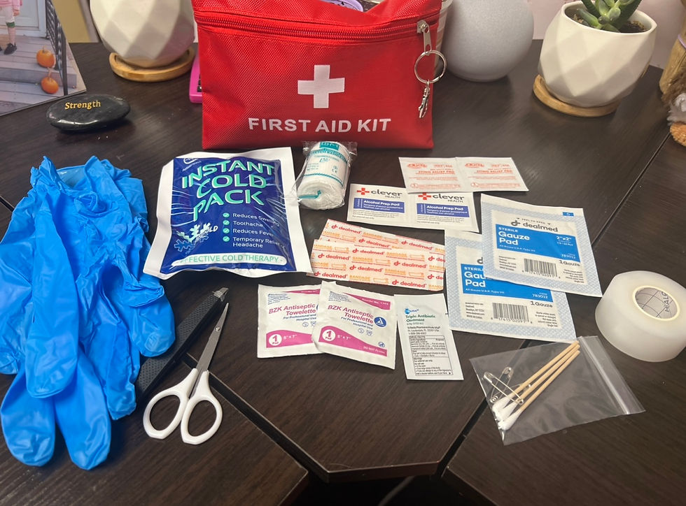 TRAVEL SIZE FIRST AID KIT