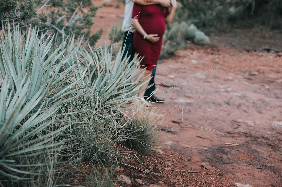 maternity cactus sedona, AZ