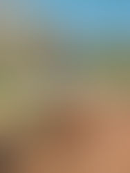 Sawyer // Branding Photoshoot