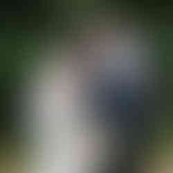 Bride and groom portraits at Weathered Wisdom Barn in Preston Missouri