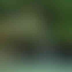 Bride and groom at Dogwood Canyon waterfall ceremony