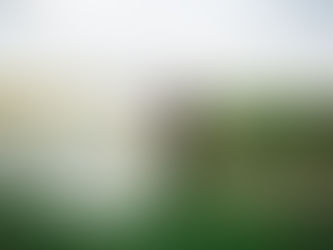 Kiley + Carson | Graystone Valley Wedding