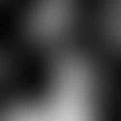 Timeless wedding photography by Missouri and Arkansas photographer