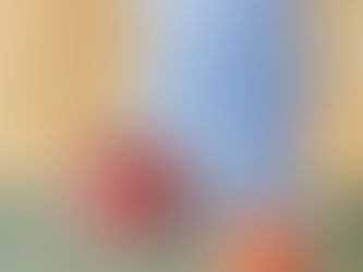 117) Connaissez-vous SPIVA?