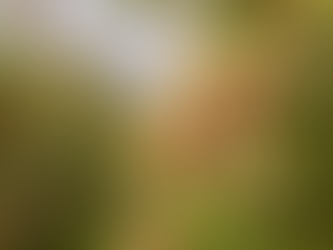 242) Dupont de Nemours et Qnity Electronics.