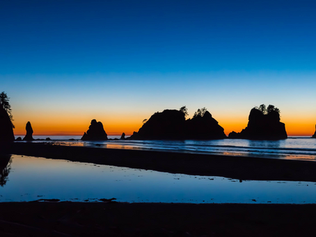 197) Cinq raisons de plus d'acheter des actions de sociétés.