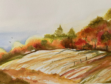 113) Déboulonnons un mythe: les deux régimes de retraite