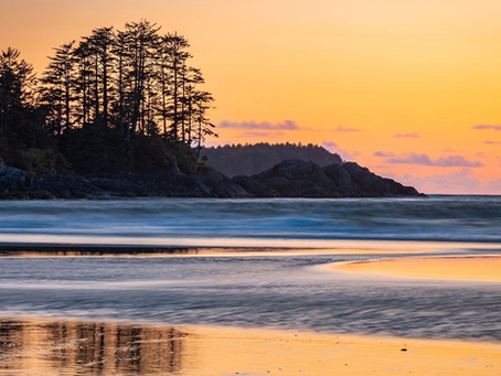 271) B Mes trucs (Politique des titres individuels)