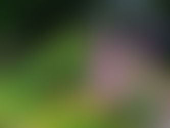 267) Les spin-offs et mon ami Chat GPT