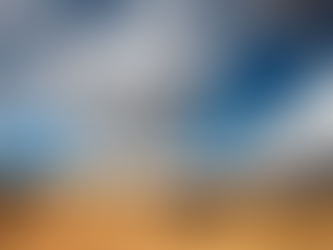 195) Prendre des décisions en ignorant les prédictions.