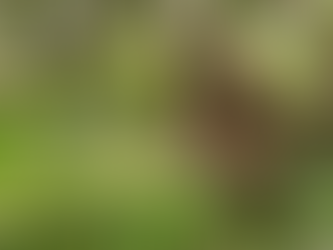 251) Mon excursion chez IA et l'éternelle question du moment pour prendre sa rente du Québec. 