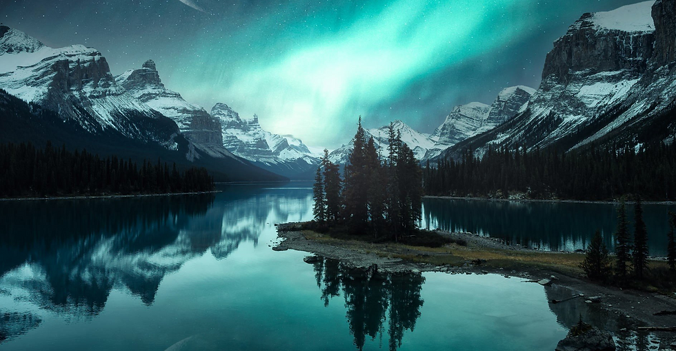 291) Le dollar canadien conjugé au futur