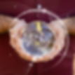 Eluumis_sky_healing_program.png