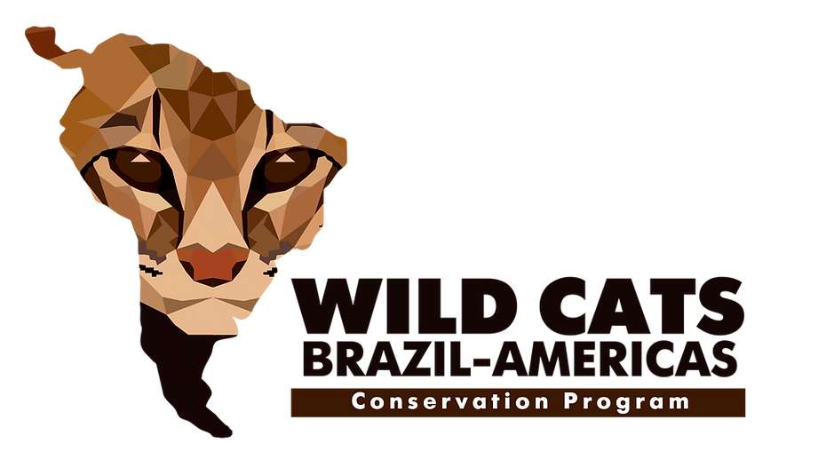 WCB-A - LOGO 2.png