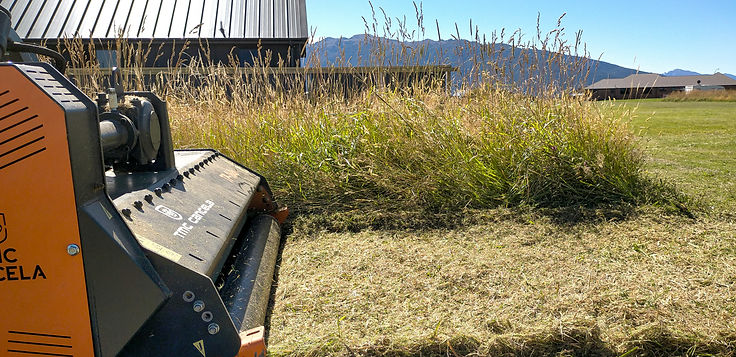 Img_12022021_162245 (1)_edited.jpg