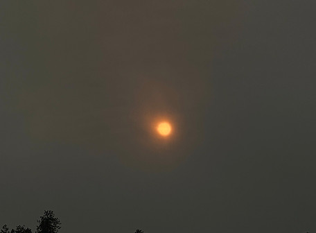 B83B2C12-567E-451C-AEA0-D0B7219112A4.jpeg