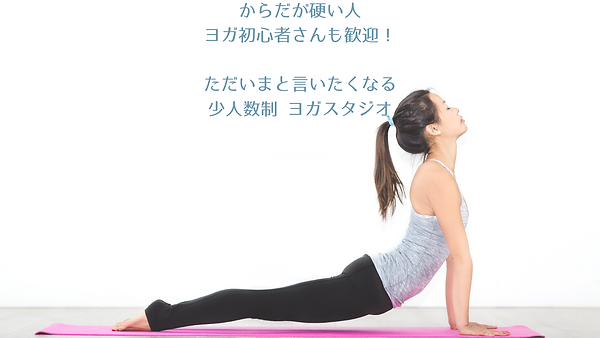 Dsta大きい看板のコピー (1).png