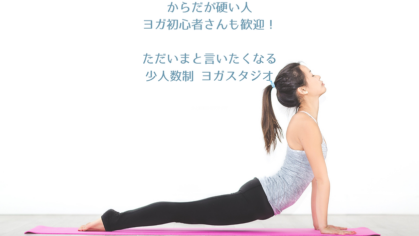 Dsta大きい看板のコピー (1).png